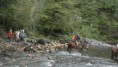 /album/fotogaleria-cabalgatas/a1525204-264951776995244-1324752815-n-1-jpg/